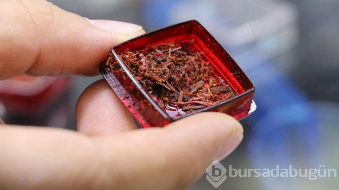 Dünyanın en kaliteli safranı Türkiye'de üretiliyor! Kilosu 30 bin TL
