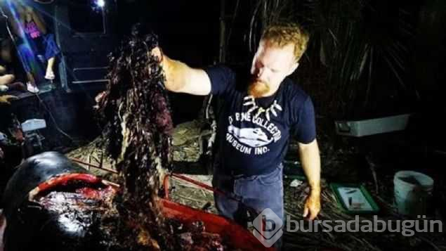 40 kg plastik yutan yavru balina dayanamadı
