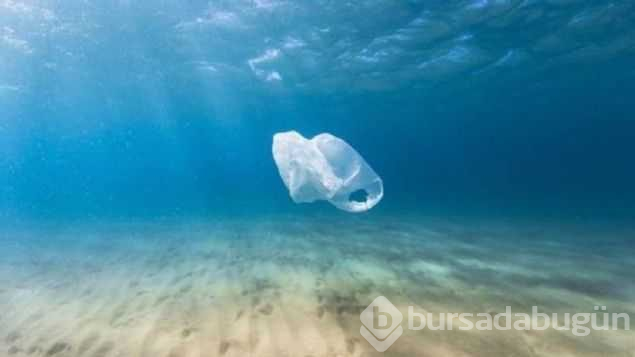 40 kg plastik yutan yavru balina dayanamadı
