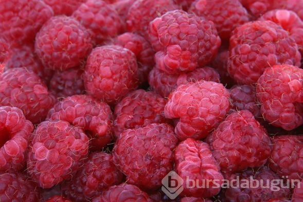 Kırmızı meyvelerdeki gizli mucize
