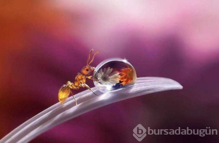 Günün en çok paylaşılan fotoğrafları
