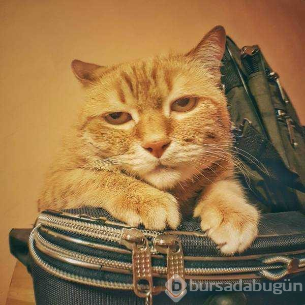 Günün en çok paylaşılan fotoğrafları
