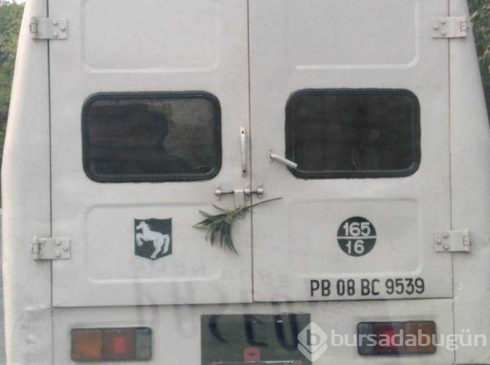 Günün en çok paylaşılan fotoğrafları

