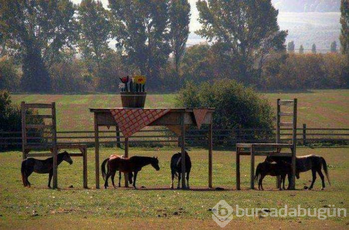 Günün en çok paylaşılan fotoğrafları
