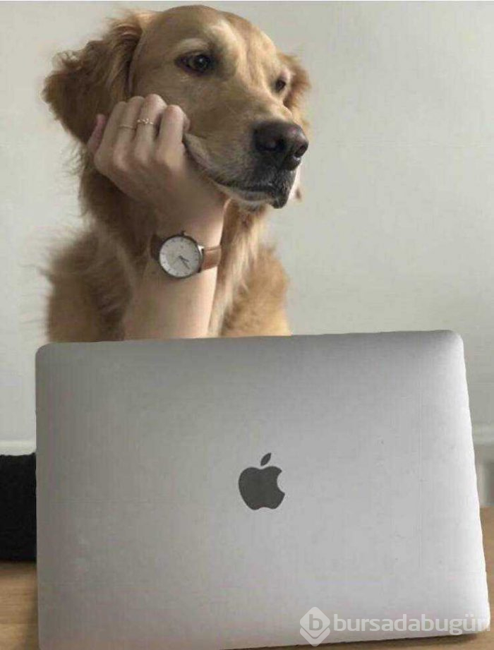 Günün en çok paylaşılan fotoğrafları
