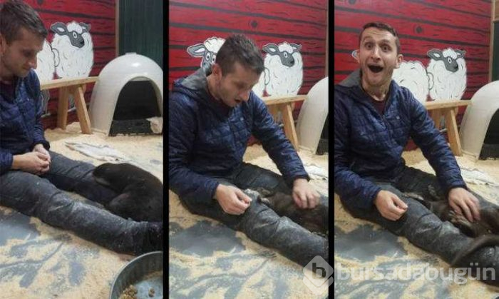 Günün en çok paylaşılan fotoğrafları
