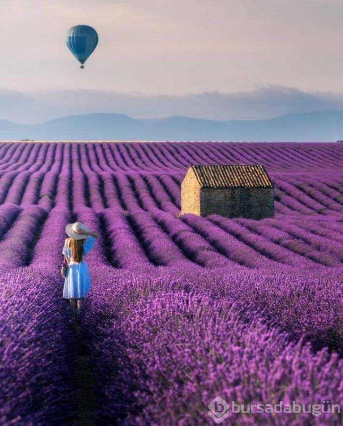 Günün en çok paylaşılan fotoğrafları
