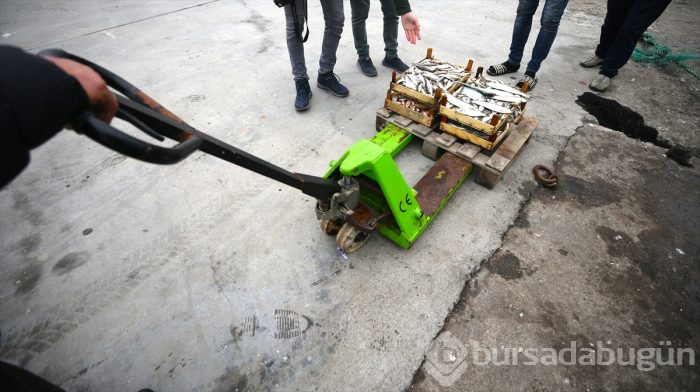 Balıkçılar sezonu kapatmaya hazırlanıyor
