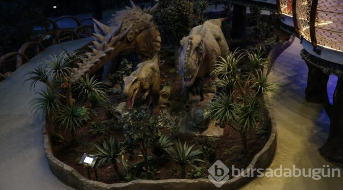 Avrupa'nın en büyük tema parkı "Wonderland Eurasia" açıldı
