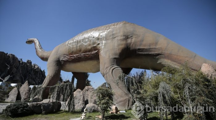 Avrupa'nın en büyük tema parkı "Wonderland Eurasia" açıldı
