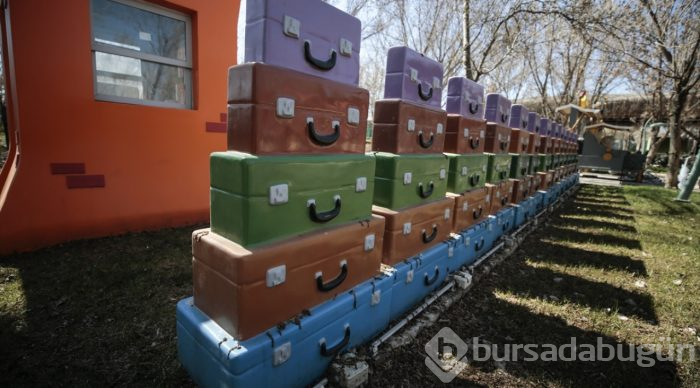 Avrupa'nın en büyük tema parkı "Wonderland Eurasia" açıldı
