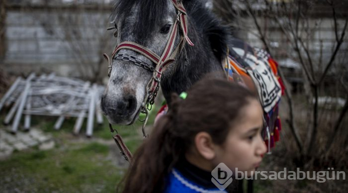 Küçük Sude ile "Bozoğlan"ın dostluğu
