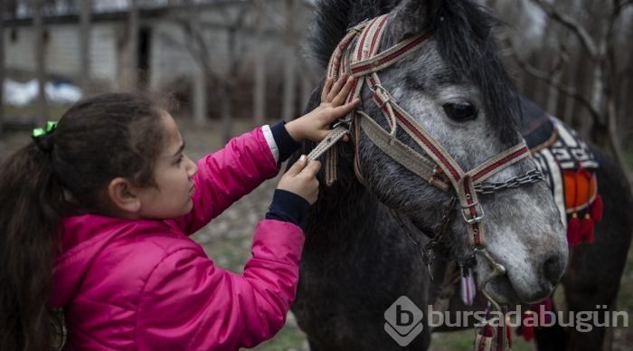 Küçük Sude ile "Bozoğlan"ın dostluğu
