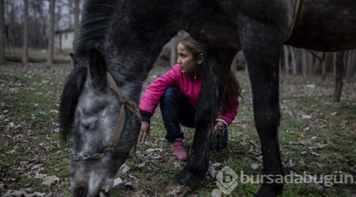 Küçük Sude ile "Bozoğlan"ın dostluğu
