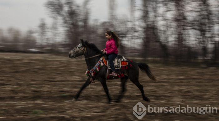 Küçük Sude ile "Bozoğlan"ın dostluğu
