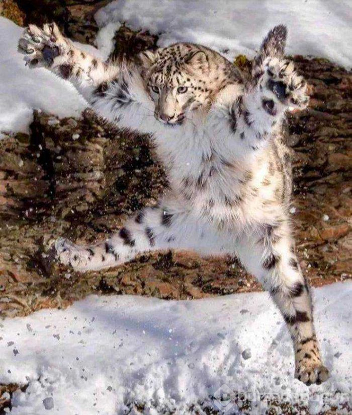 Günün en çok paylaşılan fotoğrafları (21.03.2019)