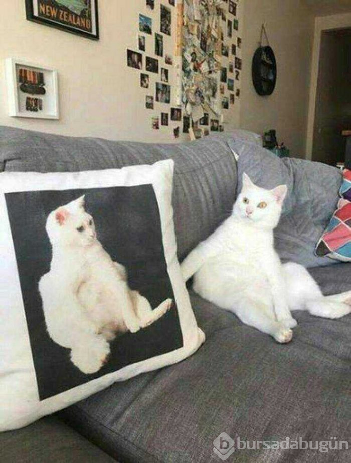 Günün en çok paylaşılan fotoğrafları (21.03.2019)