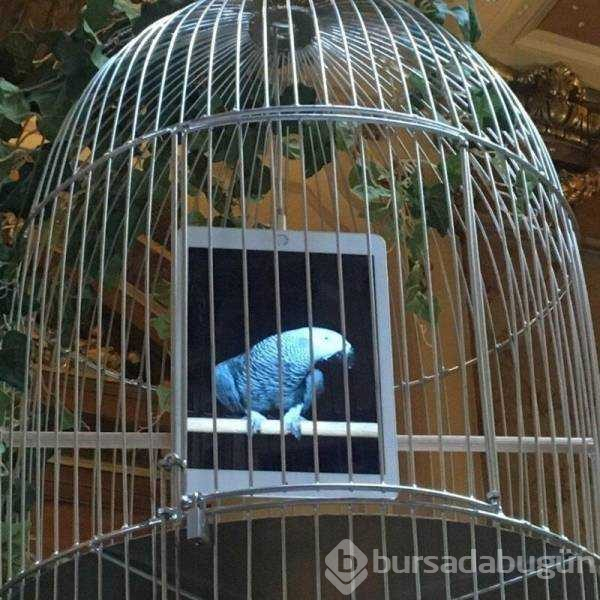 Günün en çok paylaşılan fotoğrafları (21.03.2019)