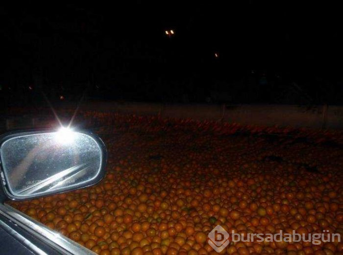 Günün en çok paylaşılan fotoğrafları (22.03.2019)