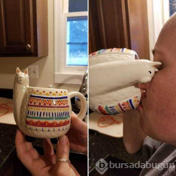 Günün en çok paylaşılan fotoğrafları (22.03.2019)