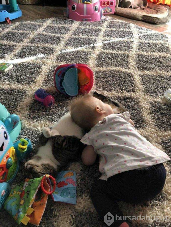 Günün en çok paylaşılan fotoğrafları (22.03.2019)