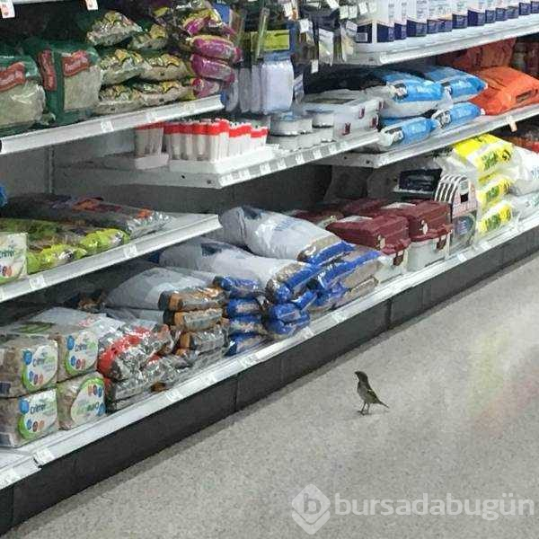 Günün en çok paylaşılan fotoğrafları (22.03.2019)