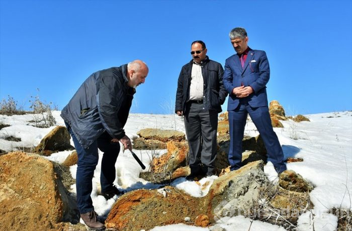 Muş'ta Anadolu'nun jeolojik tarihini değiştirecek 11 milyon yıllık fosiller bulundu