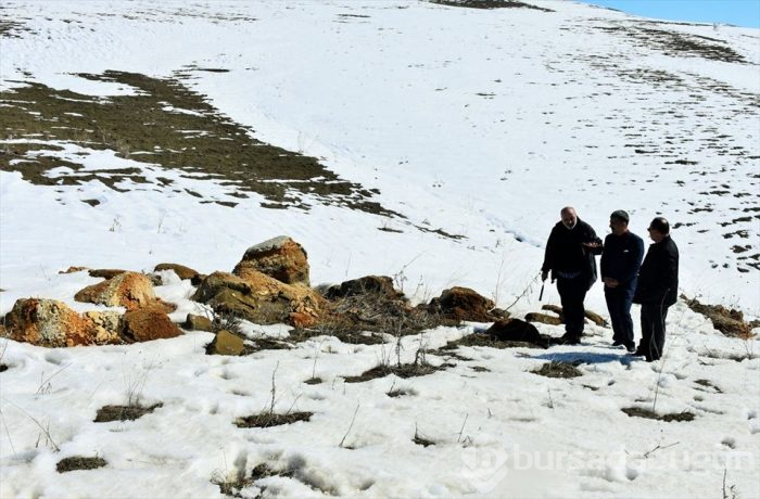 Muş'ta Anadolu'nun jeolojik tarihini değiştirecek 11 milyon yıllık fosiller bulundu
