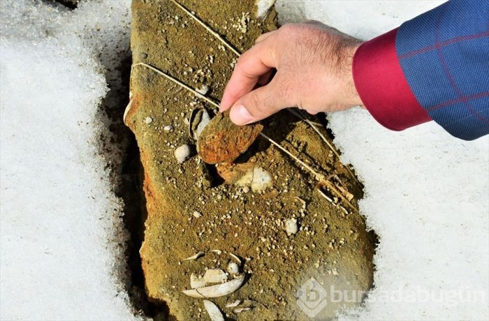 Muş'ta Anadolu'nun jeolojik tarihini değiştirecek 11 milyon yıllık fosiller bulundu