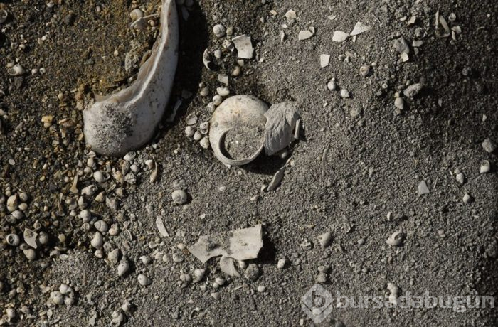 Muş'ta Anadolu'nun jeolojik tarihini değiştirecek 11 milyon yıllık fosiller bulundu