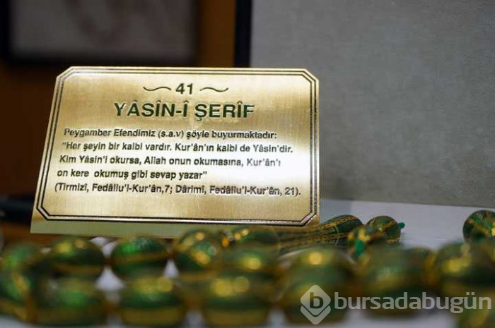 Ev fiyatında! Gören hayran kaldı
