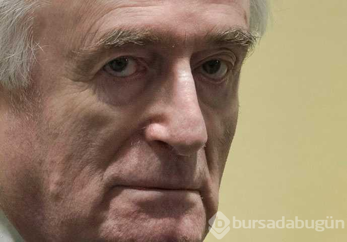 Karadzic'e müebbet cezası sonrası Bosnalılar sevinçli
