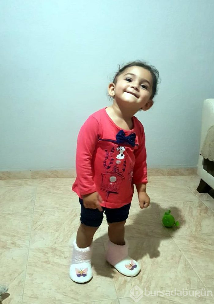 Rottweiler'ın saldırdığı 2 yaşındaki Almila ölümden döndü
