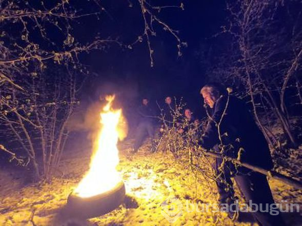 Don riskine karşı fındıklarını bahçelerde ateş yakarak koruyorlar
