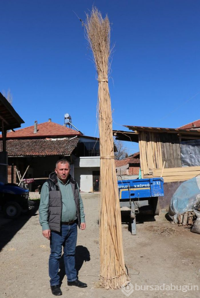 Kilo fiyatı 1000 liraya çıktı! Fabrika kurmak isteyenler bile oluyor
