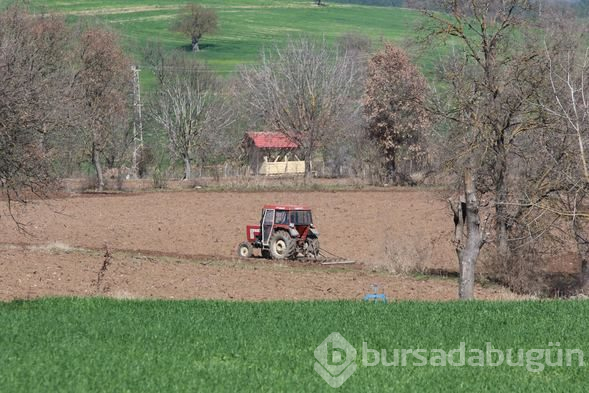 Kilo fiyatı 1000 liraya çıktı! Fabrika kurmak isteyenler bile oluyor
