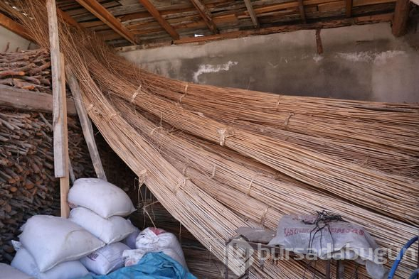 Kilo fiyatı 1000 liraya çıktı! Fabrika kurmak isteyenler bile oluyor
