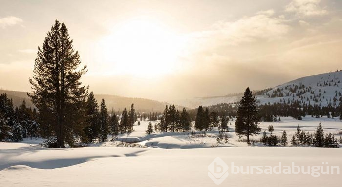 Yellowstone Milli Parkı'nda kış
