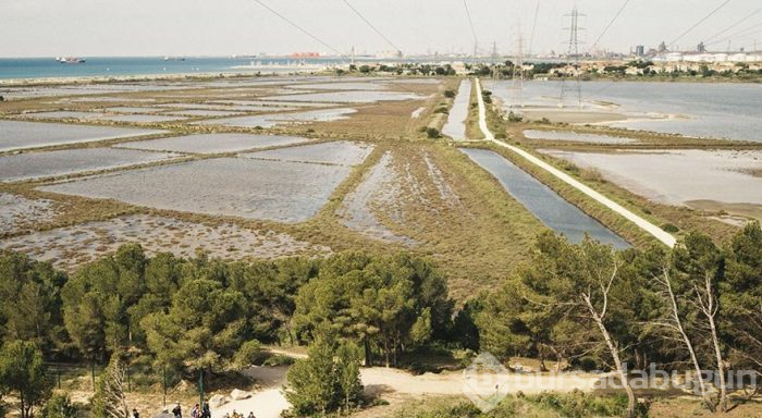 Fransa'nın bu şehrinde kanser oranı ortalamanın 2 katı
