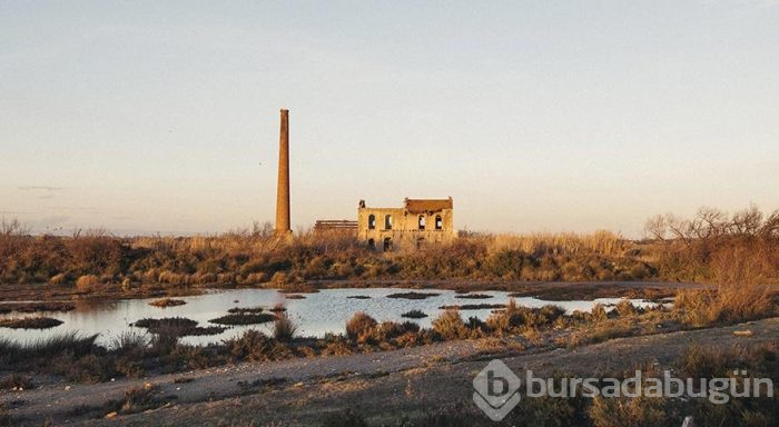Fransa'nın bu şehrinde kanser oranı ortalamanın 2 katı
