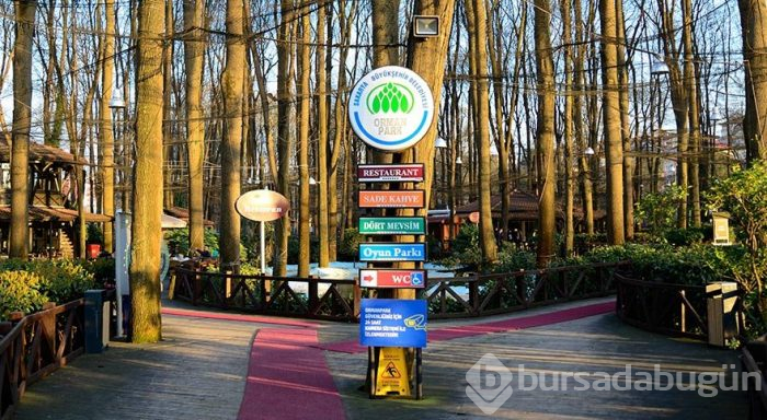 Şehir merkezinde orman havası
