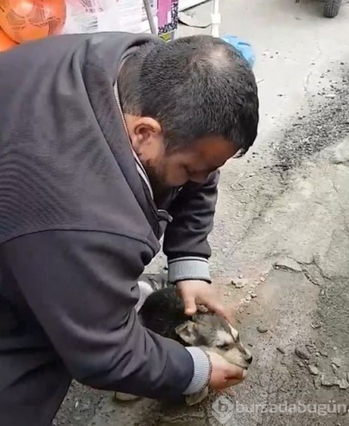 Helal olsun! Köpeği kalp masajı ve suni teneffüs yaparak hayata döndürdü
