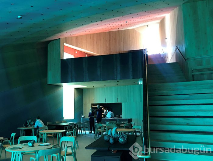 Avrupa'nın ilk denizaltı restoranı Norveç'te açıldı

