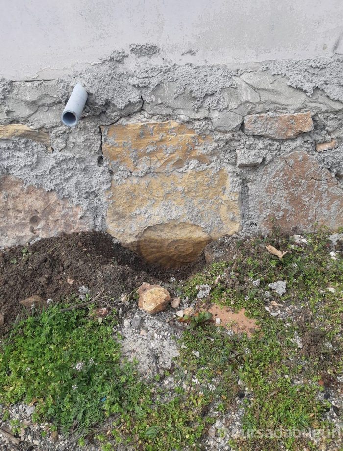 Adıyaman'da 65 milyon yıllık olduğu düşünülen salyangoz fosili bulundu