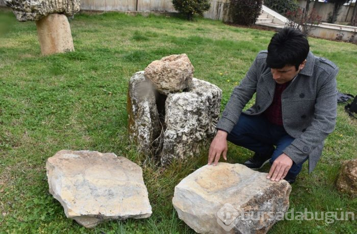 Adıyaman'da 65 milyon yıllık olduğu düşünülen salyangoz fosili bulundu