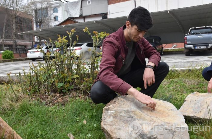 Adıyaman'da 65 milyon yıllık olduğu düşünülen salyangoz fosili bulundu