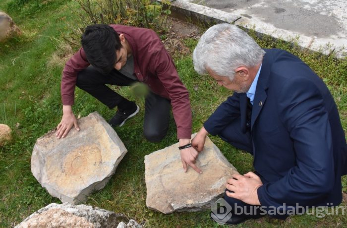 Adıyaman'da 65 milyon yıllık olduğu düşünülen salyangoz fosili bulundu