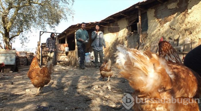 Permakültür çiftliği için karavanla 8 ülkeyi aştılar