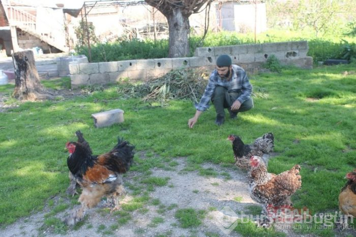 Satın almak için sıraya girdiler... Yumurta 400, civciv bin, tavuk 10 bin TL!

