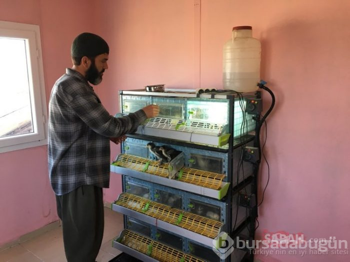Satın almak için sıraya girdiler... Yumurta 400, civciv bin, tavuk 10 bin TL!

